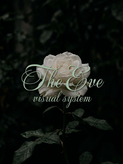 The Complete EVE Visual System